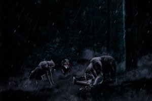 Schattenläufer 3.jpg