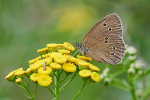 WebQ82_DSC_0220_ISO3200_1-2000 s.jpg