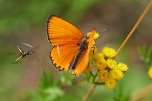 WebQ82_DSC_1822_ISO3200_1-3200 s.jpg