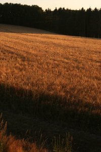 ausschnitt2.JPG ausschnitt2.JPG