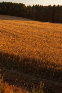 ausschnitt2b.JPG ausschnitt2b.JPG