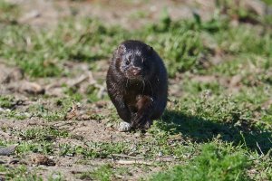 WebQ82_DSC_0679_ISO1600_1-4000 s.jpg