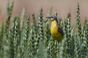 WebQ82_DSC_8569_ISO1600_1-6500 s_1.jpg