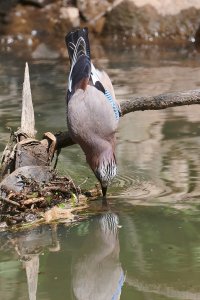 WebQ82_DSC_9348_ISO1600_1-1600 s.jpg