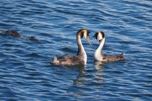 P8310138AAA.jpg P8310138AAA.jpg