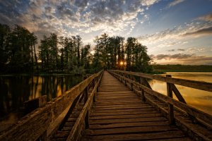 Allmansweier Rhein Forum.jpg