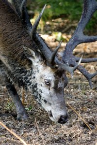 _MG_0107 Kopie_s.jpg