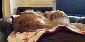 Stille.jpg Stille.jpg