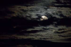 _MG_0416_s.jpg _MG_0416_s.jpg