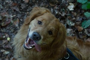 JPEG-Bild.jpeg JPEG-Bild.jpeg