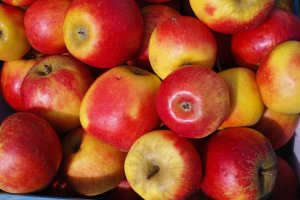 bild 1.jpg bild 1.jpg