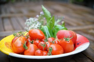 Bild 2.jpg Bild 2.jpg