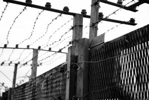 Schwarz.jpg Schwarz.jpg