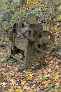 Rost-SD10 - IMG09473.jpg