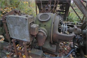 Rost-SD14 - SDIM7605.jpg