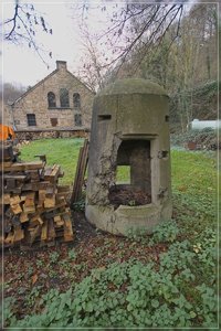 Rost-SD14 - SDIM7613.jpg