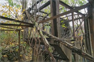 Rost-SD14 - SDIM7604.jpg Rost-SD14 - SDIM7604.jpg