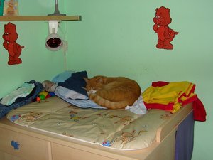 Luis 17.03.2007 029.jpg