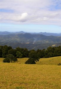 Sealy Lookout 3.jpg