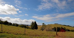 Sealy Lookout 5.jpg
