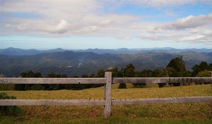Sealy Lookout 2.jpg
