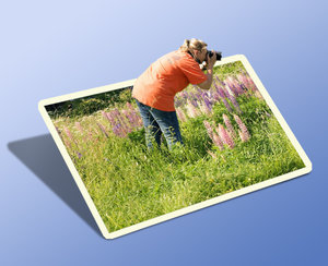 nobbi-1_Dany2.jpg nobbi-1_Dany2.jpg