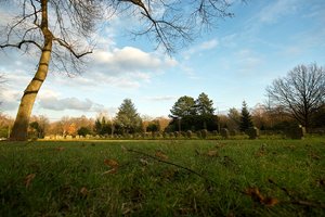 Friedhof-SD15 - SDIM82_1.jpg