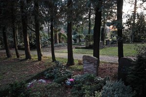 Friedhof-SD15 - SDIM94.jpg