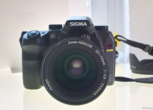 08_SDIM0243 Nik35-70.jpg