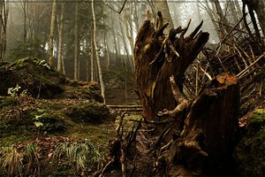 Teufelsküche 18.JPG