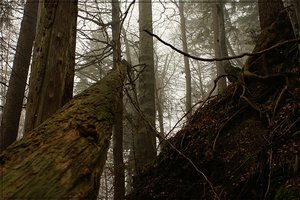 Teufelsküche 21.JPG