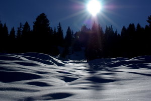 Winter 2009 457.jpg