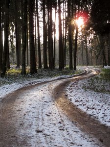 IMG_2019.jpg IMG_2019.jpg