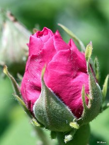 06_SDIM0115b.jpg 06_SDIM0115b.jpg