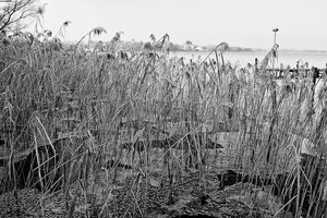 Bad 2. (1 von 1).jpg