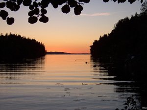 Schweden Midsommar 2005 (179).JPG