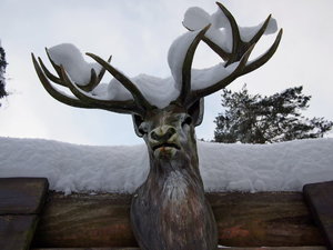 2010 12 02_3535_Bildgröße ändern.JPG