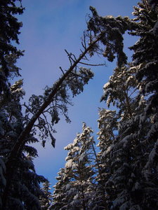 2010 12 02_3541_Bildgröße ändern.JPG