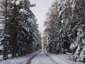 2010 12 02_3546_Bildgröße ändern.JPG