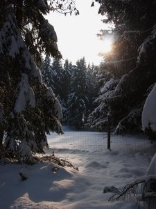 2010 12 02_3559_Bildgröße ändern.JPG