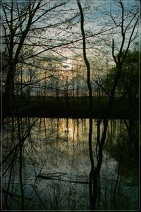 Sundown2-SD14 - SDIM4507.jpg