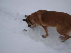 2010 12 04_3628_Bildgröße ändern.JPG