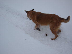 2010 12 04_3629_Bildgröße ändern.JPG