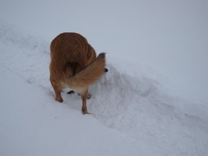 2010 12 04_3631_Bildgröße ändern.JPG