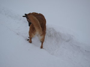 2010 12 04_3632_Bildgröße ändern.JPG