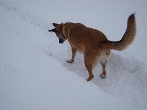 2010 12 04_3634_Bildgröße ändern.JPG