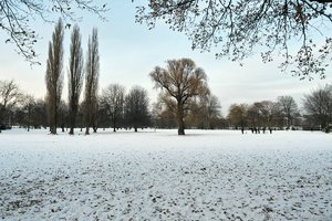 comp_aslterpark formen.jpg