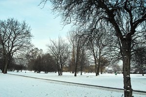 comp_hundwiese leer.jpg