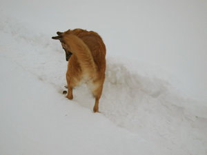 2010 12 04_3632_Bildgröße ändernb.jpg