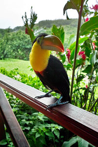 sample 106.jpg sample 106.jpg